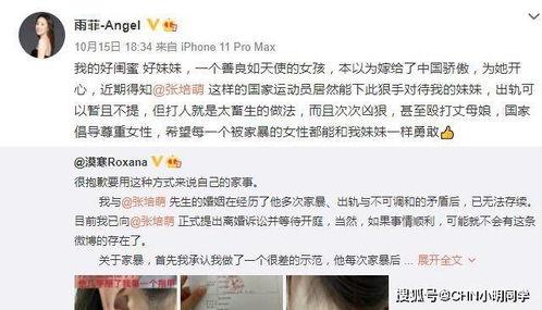 祁隆老婆爆料视频在线观看,揭秘夫妻感情背后的真相  第2张